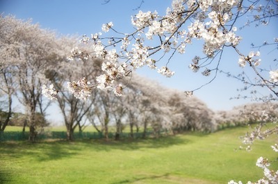 千葉市花見川区のハウスクリーニング・リフォームはアースホームサービスにおまかせ下さい。 千葉市花見川区のハウスクリーニング・リフォームはアースホームサービスにおまかせ下さい。