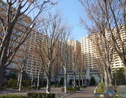 市川市のハウスクリーニング・リフォームはアースホームサービスにおまかせ下さい。 市川市のハウスクリーニング・リフォームはアースホームサービスにおまかせ下さい。