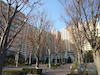 市川市 お掃除 市川市 お掃除