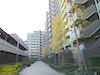 市川市 お掃除 市川市 お掃除