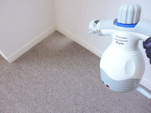 carpet-cleaning-02-s